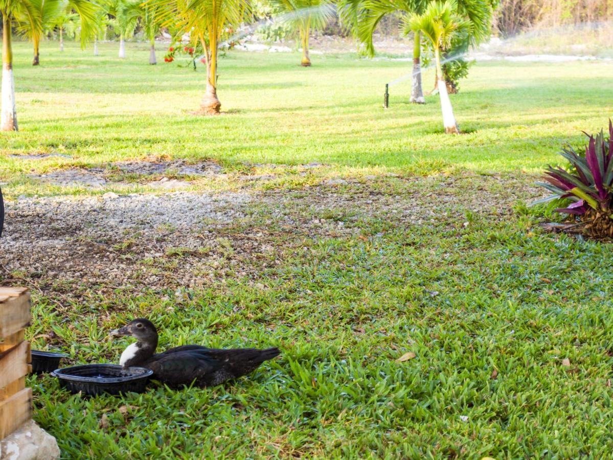 Aldea Isla Sagrada Villa Cozumel Exterior photo